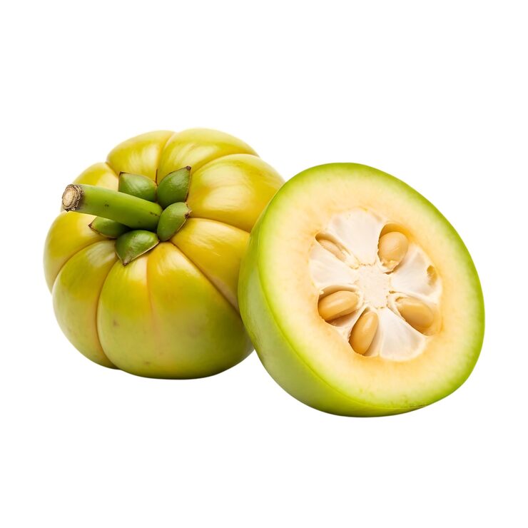 Garcinia cambogia ingredient